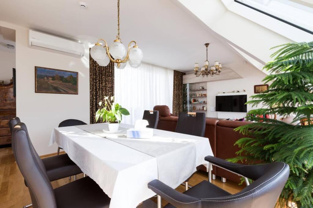 Grosses Penthouse #12 Mit Terrasse Und Aussicht Apartamento Viena Exterior foto